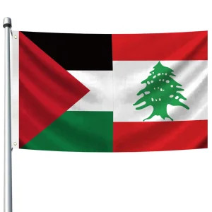 Drapeau Palestine Liban 🇵🇸 🇱🇧