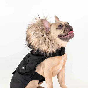 Karter - Manteau pour chien