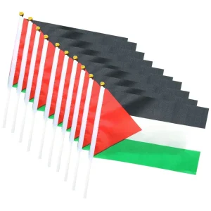 Petit Drapeau Palestine (x50)