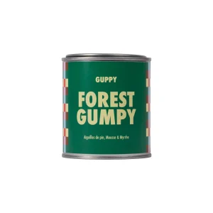 FOREST GUMPY